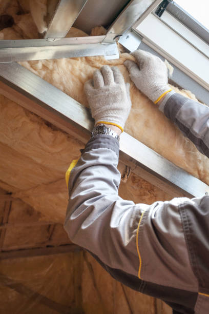 Best Insulation Maintenance and Repair in Golden Beach, MD