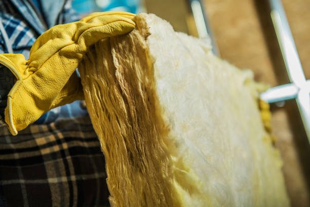 Best Eco-Friendly Insulation in Golden Beach, MD